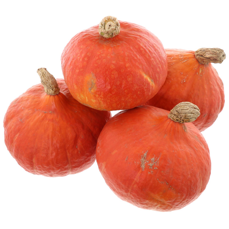 BIO POTIMARRON 10PCS LUXEMBOURG